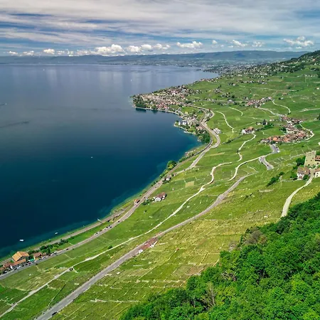 Les Terrasses De Lavaux-3 Luxueux Avec Vue Sur Et Piscine