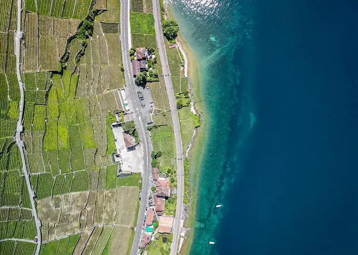 Les Terrasses De Lavaux-3 Luxueux Avec Vue Sur Et Piscine