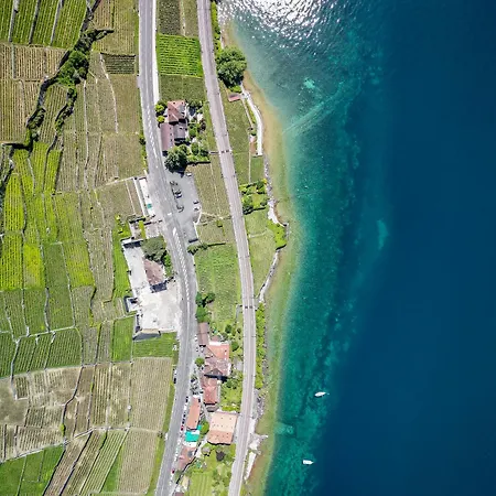 Les Terrasses De Lavaux-3 Luxueux Avec Vue Sur Et Piscine