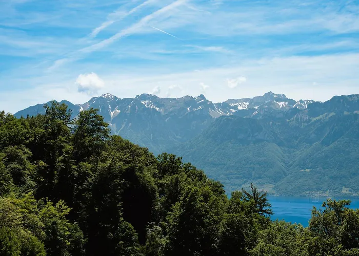 Les Terrasses De Lavaux-3 Luxueux Avec Vue Sur Et Piscine