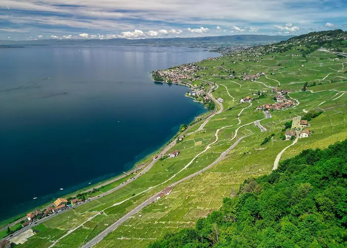 Les Terrasses De Lavaux-3 Luxueux Avec Vue Sur Et Piscine